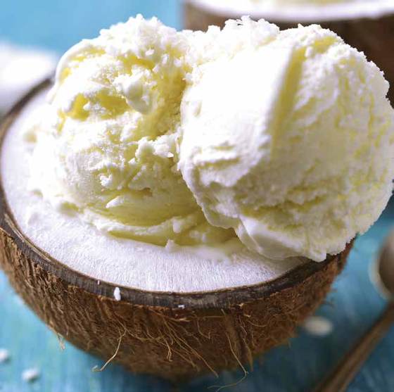Dairy-free vanilla coconut ice cream